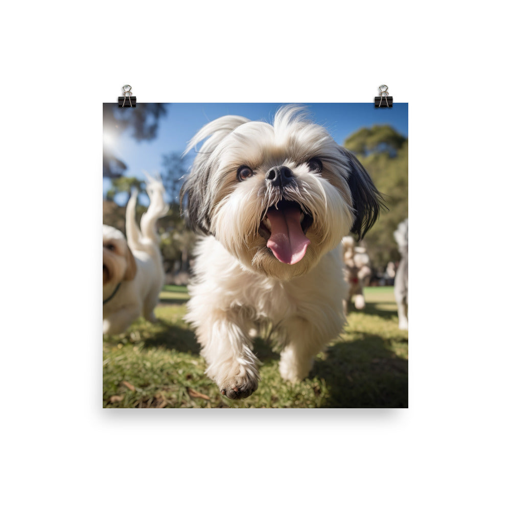 Playful Shih Tzu in a Park Photo paper poster - PosterfyAI.com