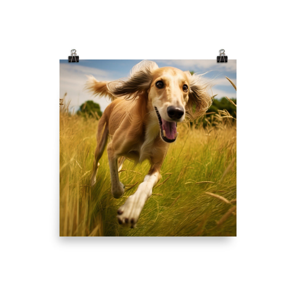 Playful Saluki Photo paper poster - PosterfyAI.com
