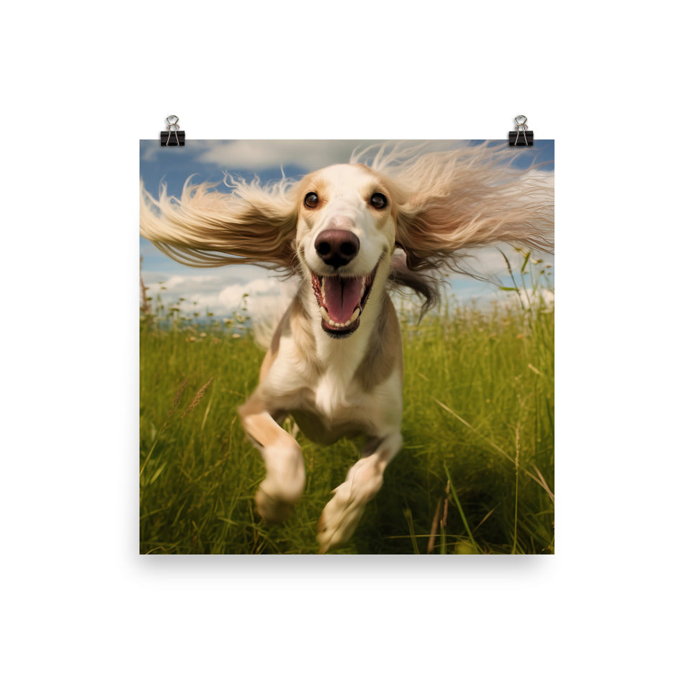 Playful Saluki Photo paper poster - PosterfyAI.com