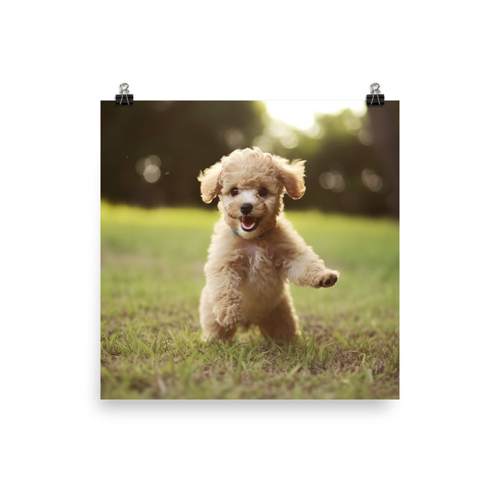 Playful Poodle Pup Photo paper poster - PosterfyAI.com