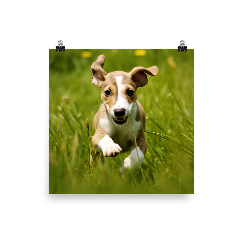 Playful Greyhound Pup Photo paper poster - PosterfyAI.com