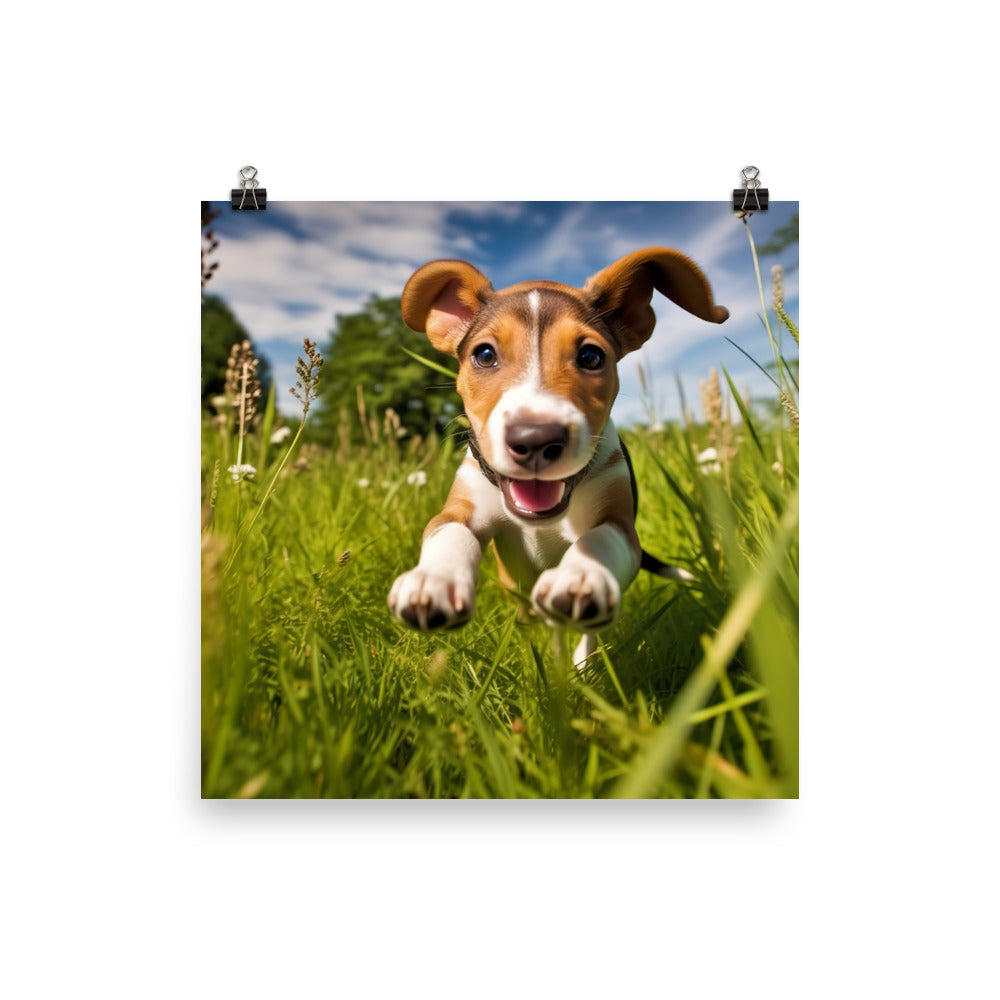 Playful Greyhound Pup Photo paper poster - PosterfyAI.com