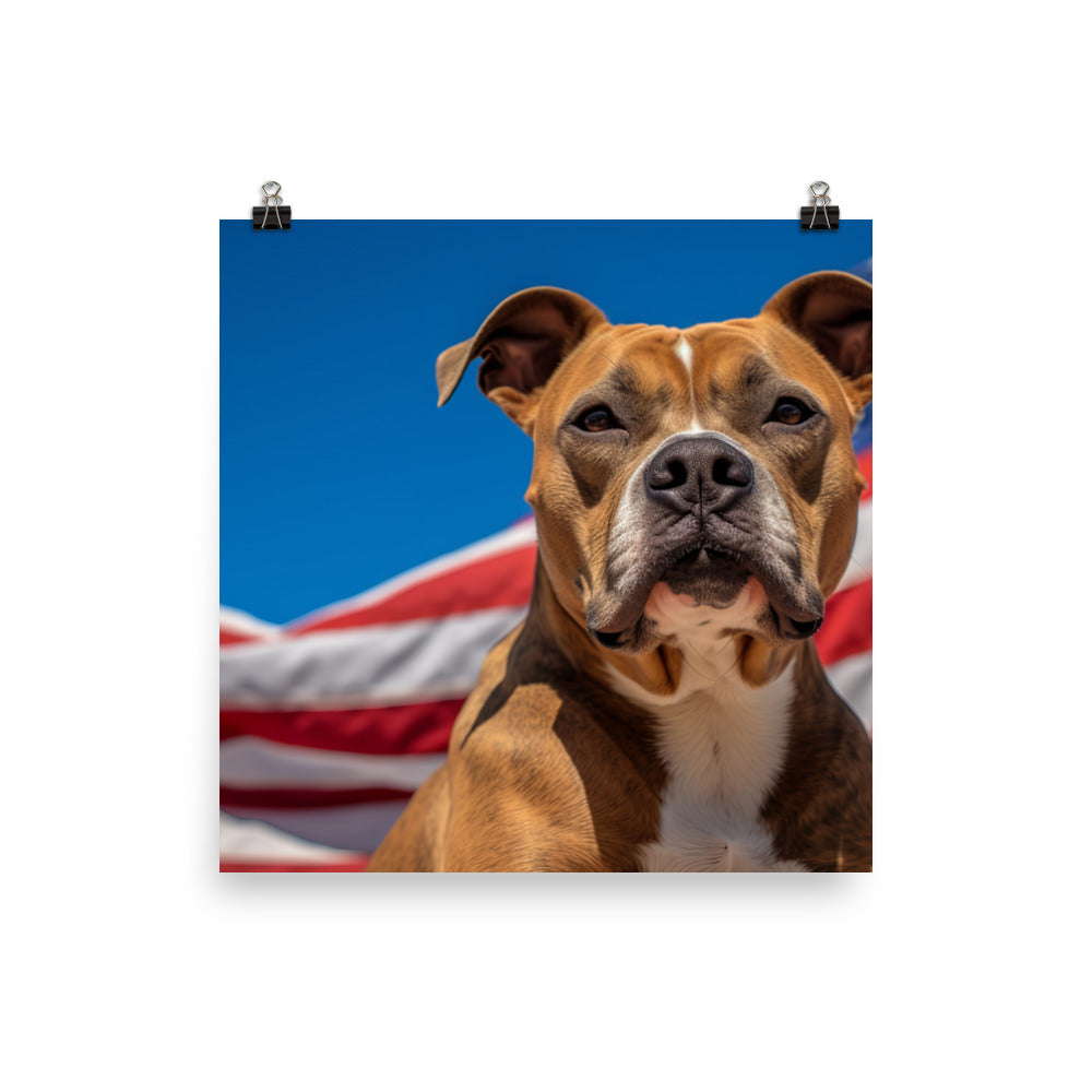 Patriotic American Staffordshire Terrier Photo paper poster - PosterfyAI.com