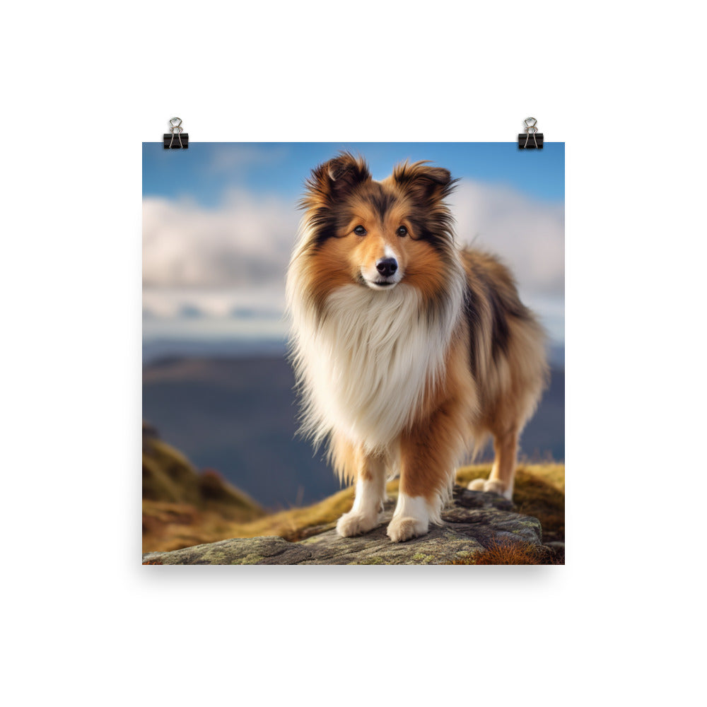 Majestic Shetland Sheepdog on a Hike Photo paper poster - PosterfyAI.com
