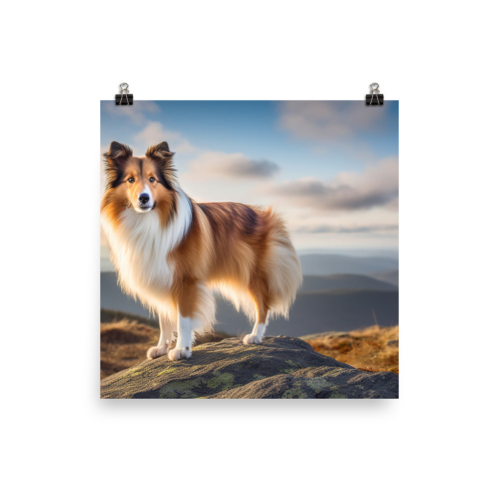 Majestic Shetland Sheepdog on a Hike Photo paper poster - PosterfyAI.com