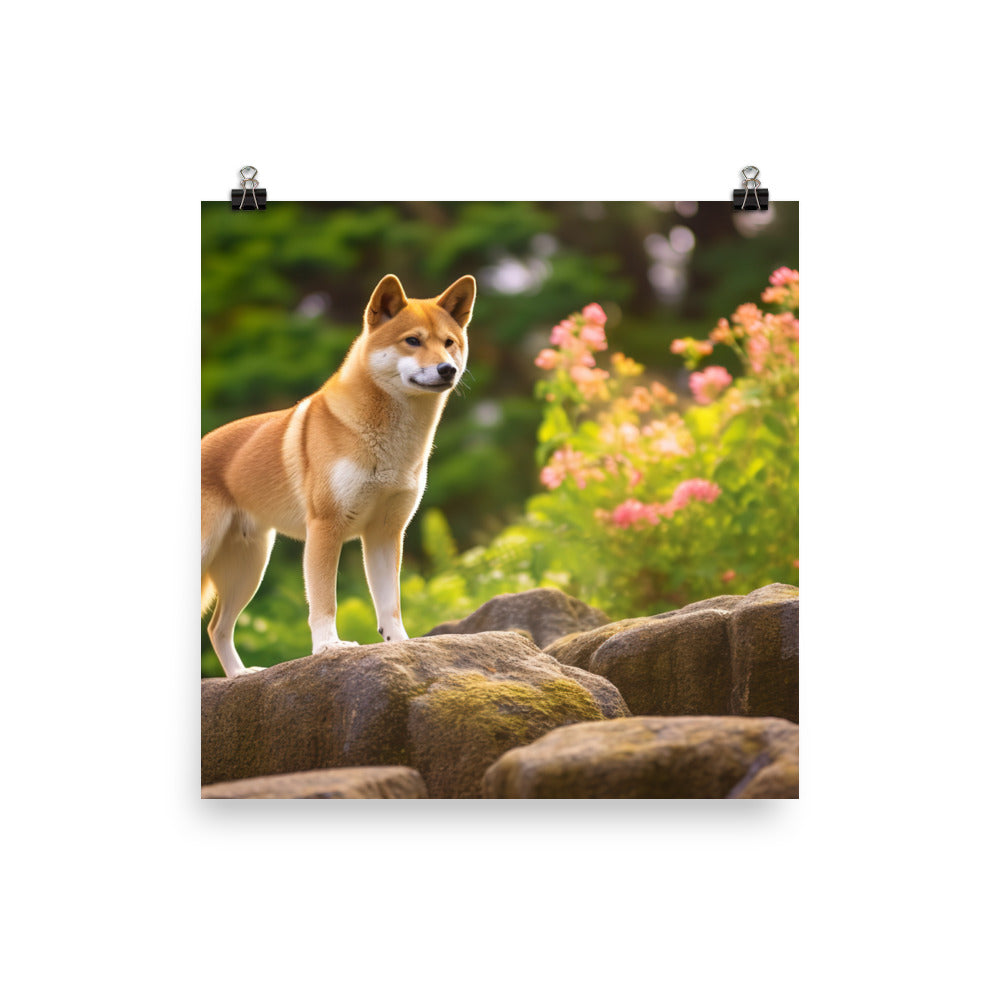 Magnificent Shiba Inu Photo paper poster - PosterfyAI.com