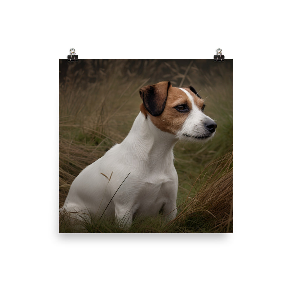 Loyal Jack Russell Terrier Photo paper poster - PosterfyAI.com