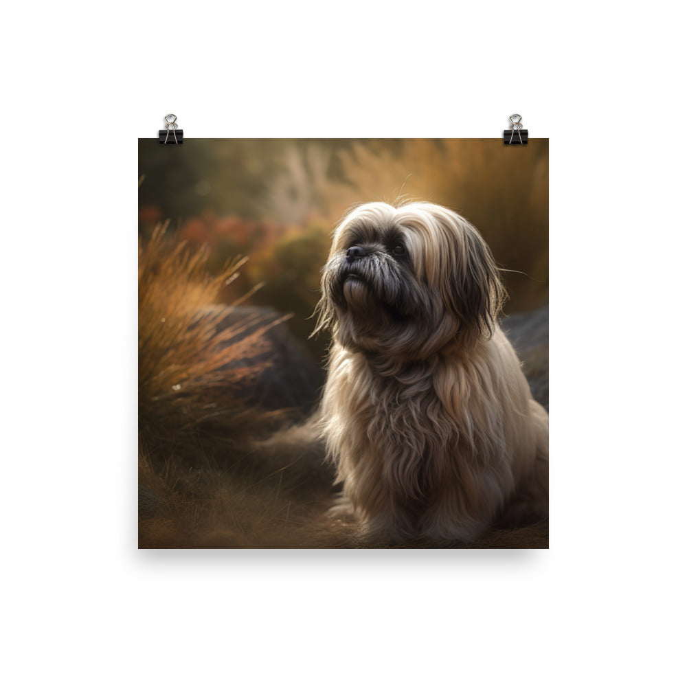 Lhasa Apso in Nature Photo paper poster - PosterfyAI.com