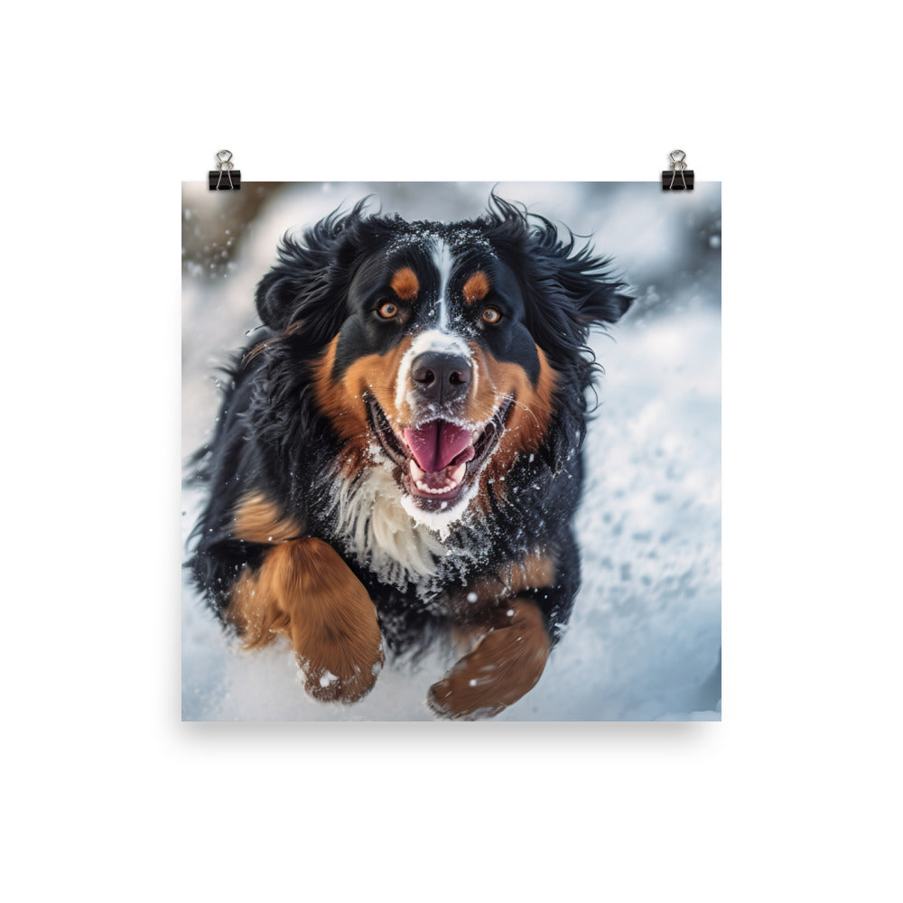Happy Bernese Mountain Dog Photo paper poster - PosterfyAI.com