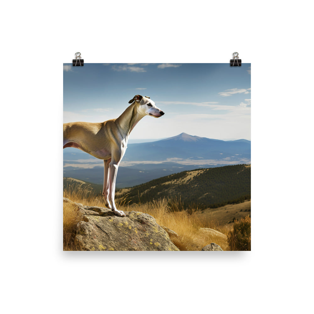 Greyhound in Nature Photo paper poster - PosterfyAI.com