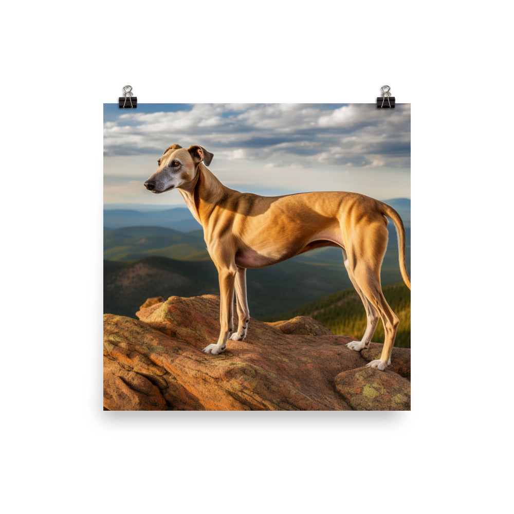 Greyhound in Nature Photo paper poster - PosterfyAI.com