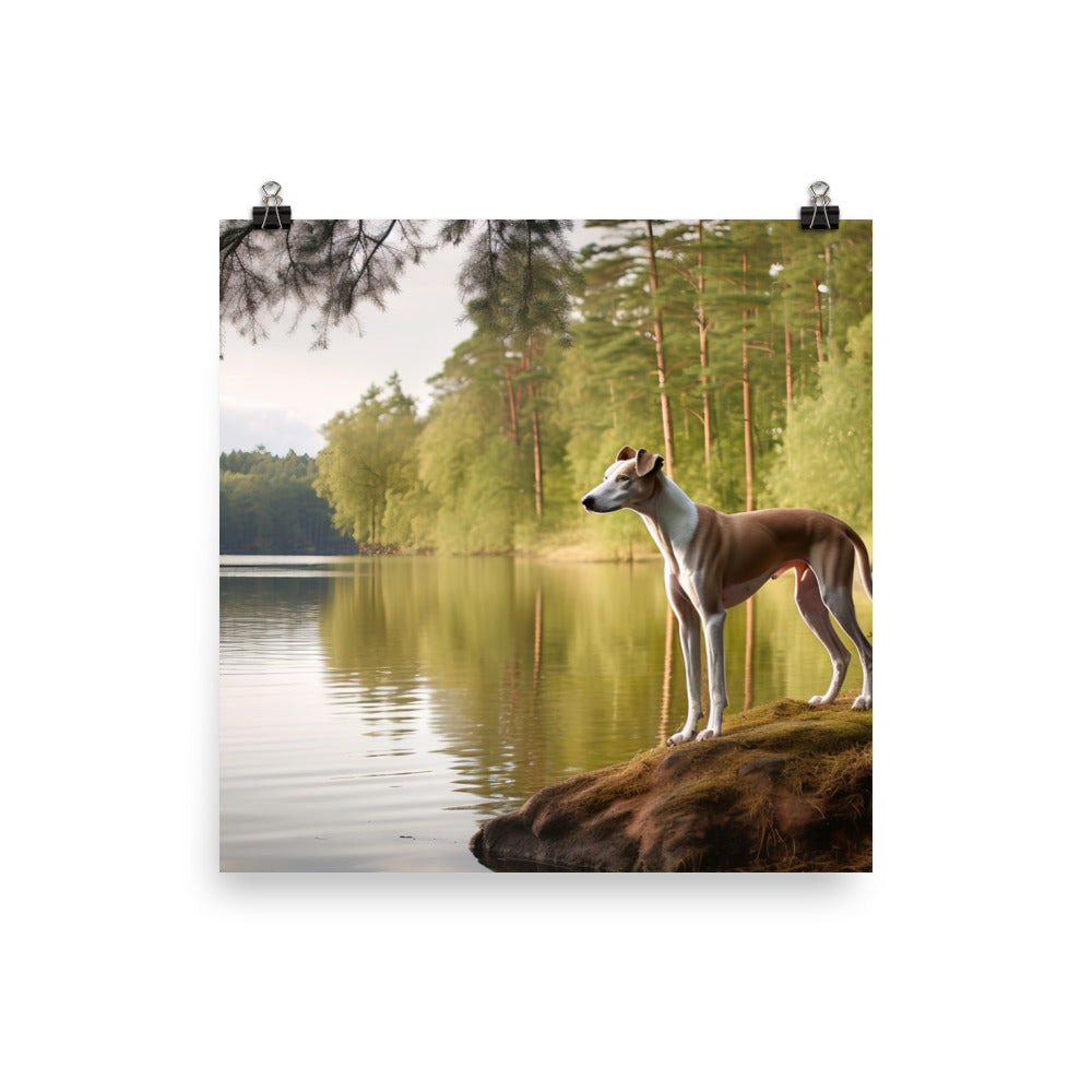 Greyhound by the Lake Photo paper poster - PosterfyAI.com