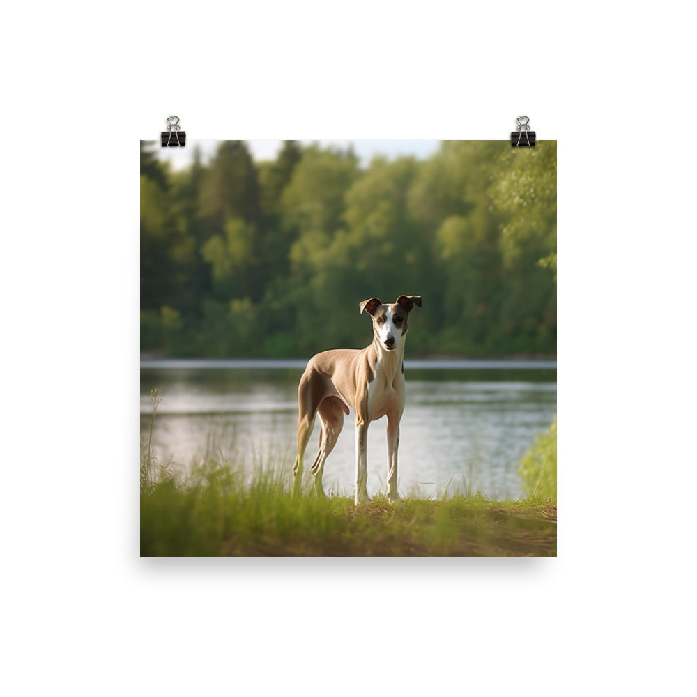 Greyhound by the Lake Photo paper poster - PosterfyAI.com