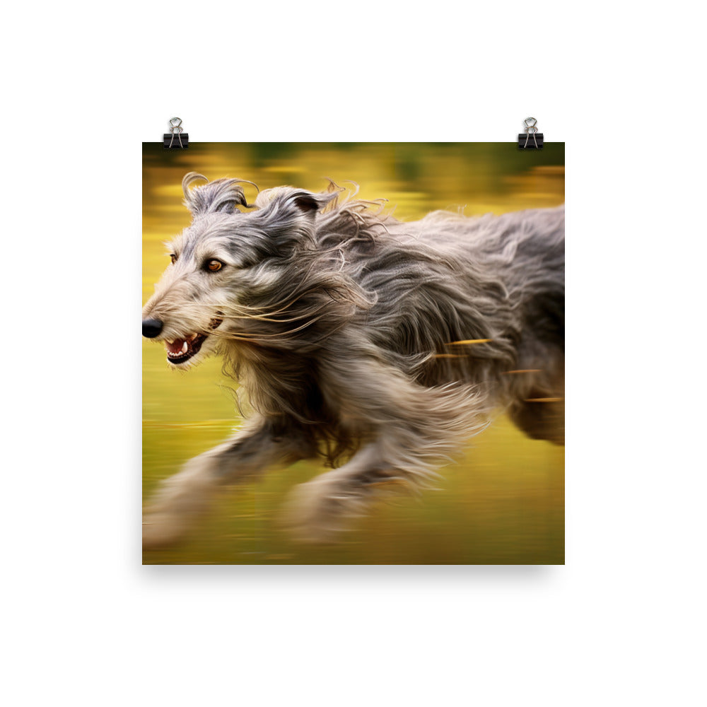 Graceful Scottish Deerhound in Action Photo paper poster - PosterfyAI.com