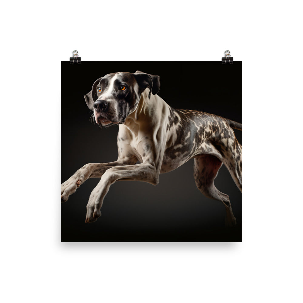 Graceful Great Dane in Motion Photo paper poster - PosterfyAI.com
