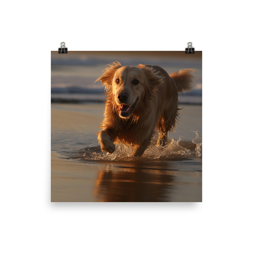 Golden Retriever at the Beach Photo paper poster - PosterfyAI.com