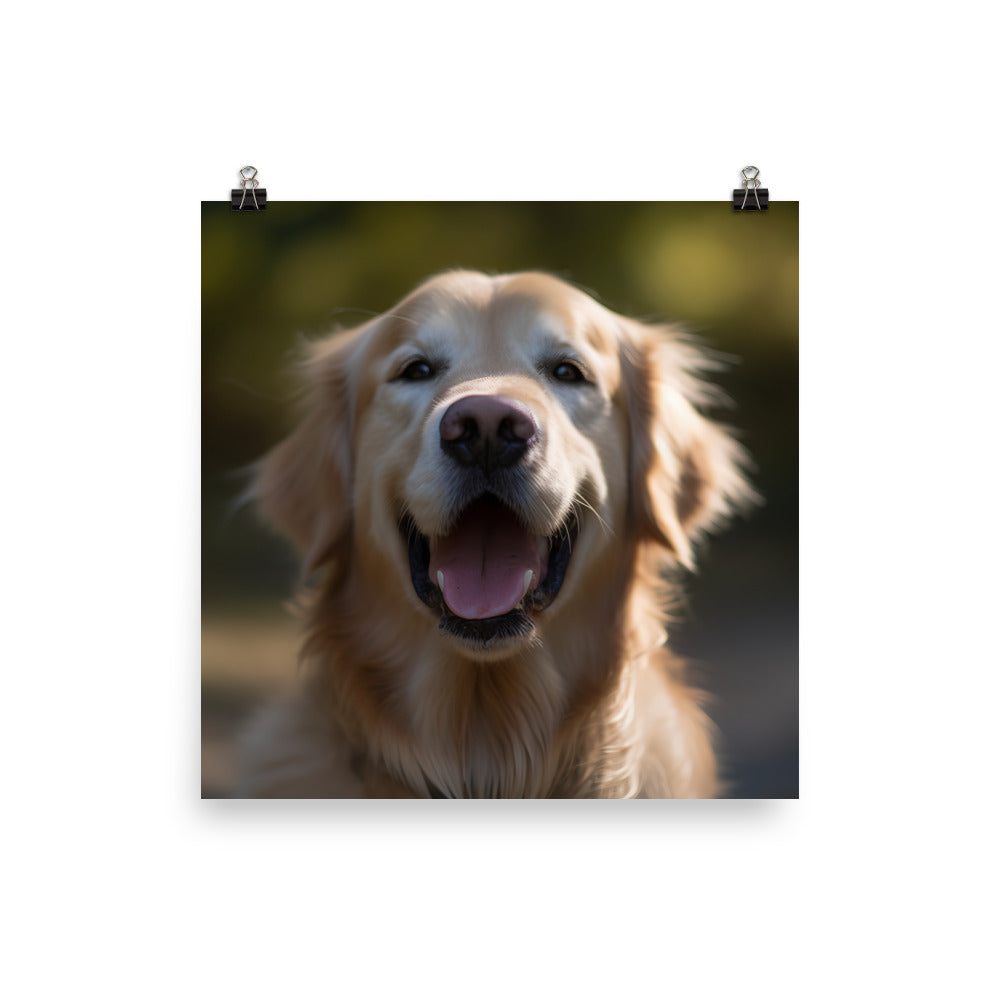 Golden Retriever Photo paper poster - PosterfyAI.com