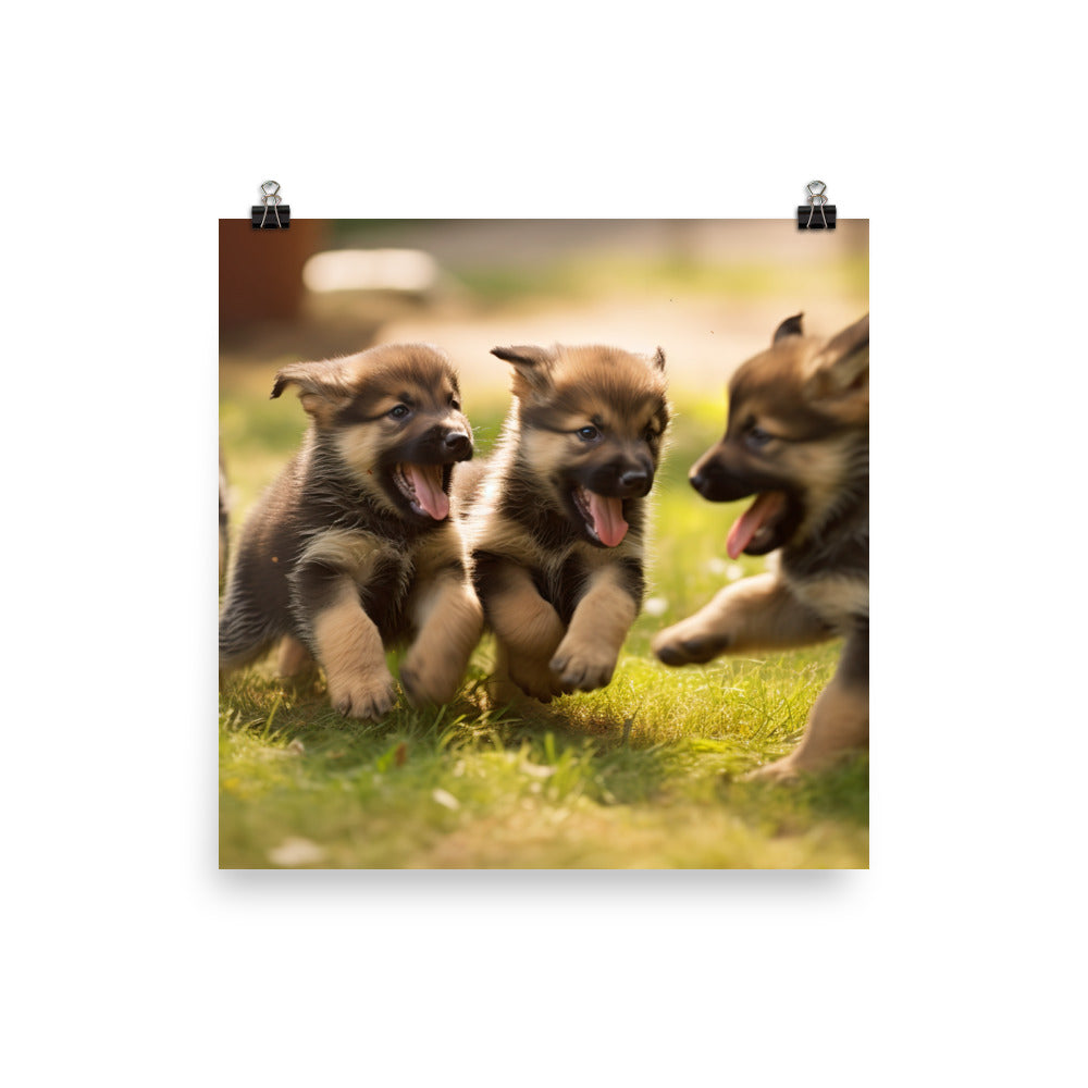German Shepherd Puppies Photo paper poster - PosterfyAI.com