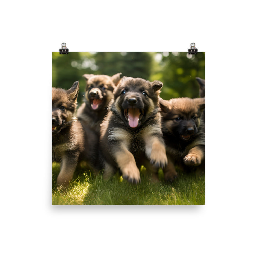 German Shepherd Puppies Photo paper poster - PosterfyAI.com