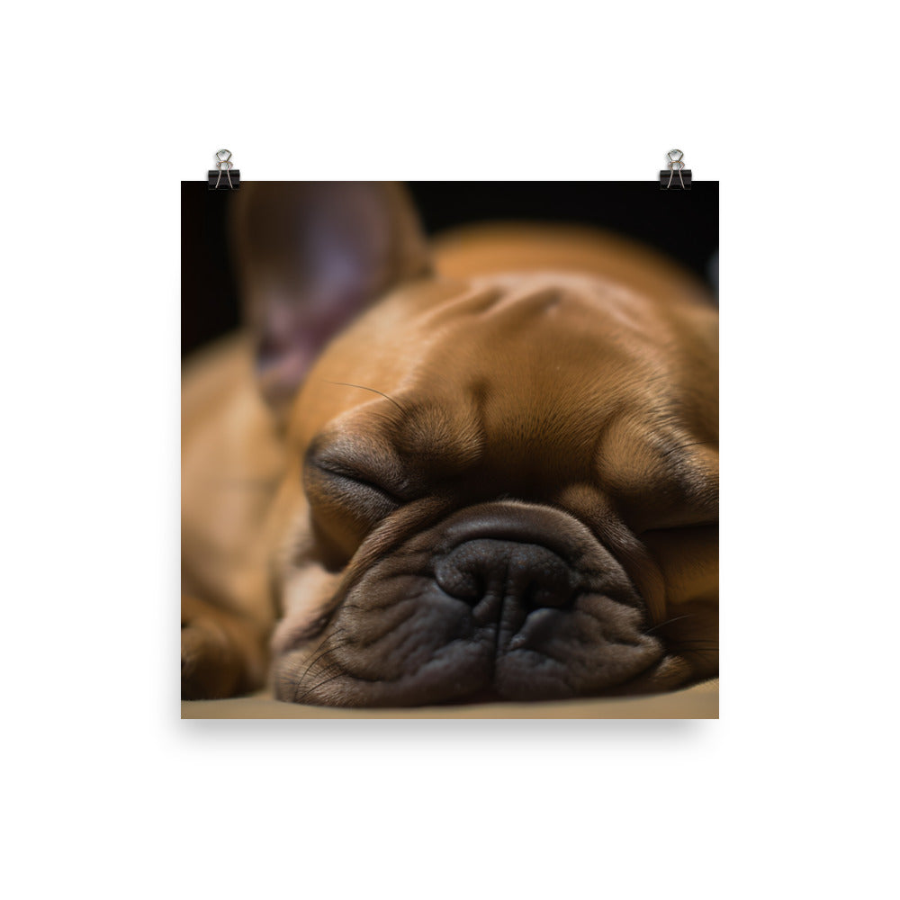 Frenchie dreams Photo paper poster - PosterfyAI.com