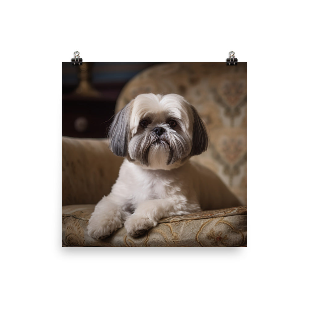 Elegant Shih Tzu Portrait Photo paper poster - PosterfyAI.com