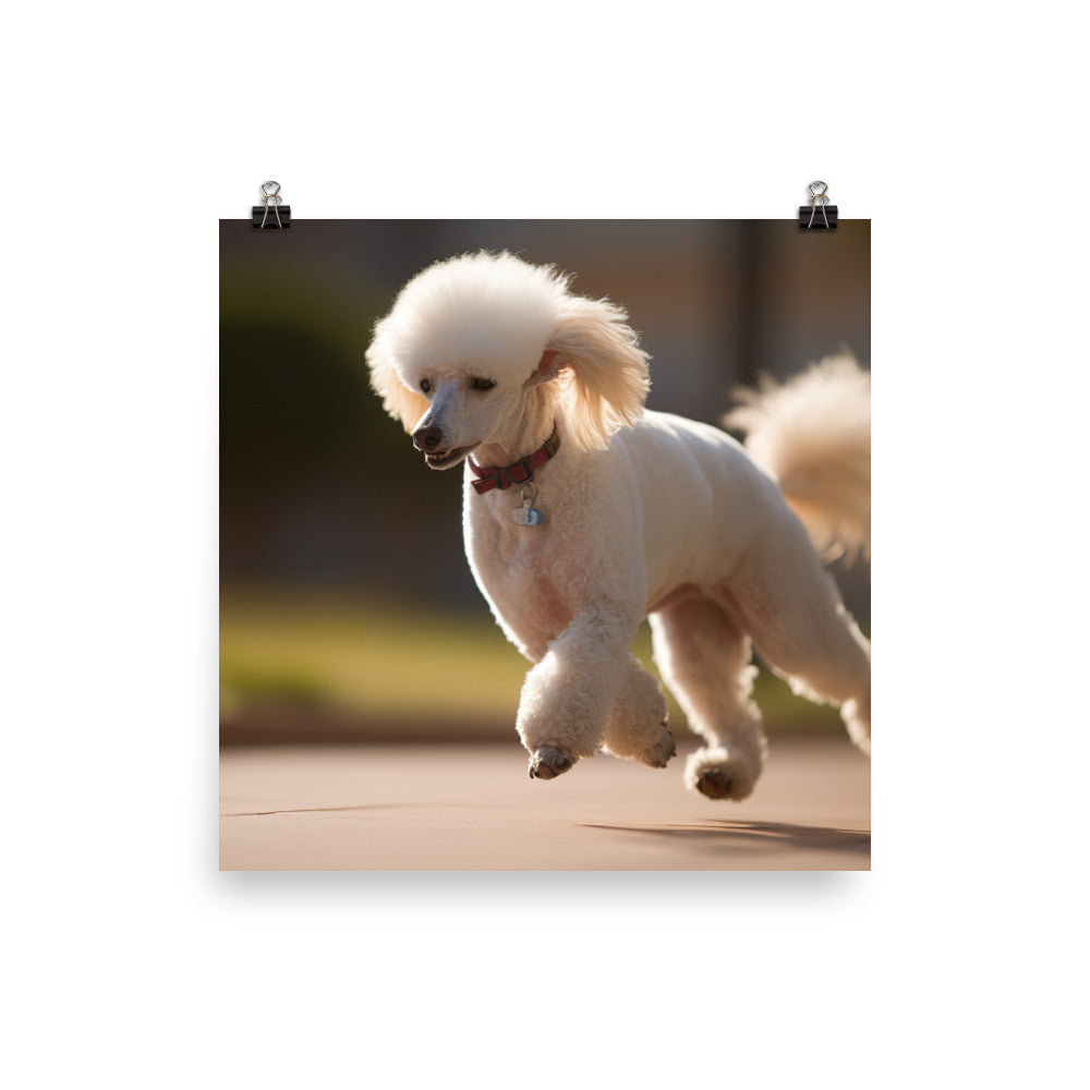 Elegant Poodle Stroll Photo paper poster - PosterfyAI.com