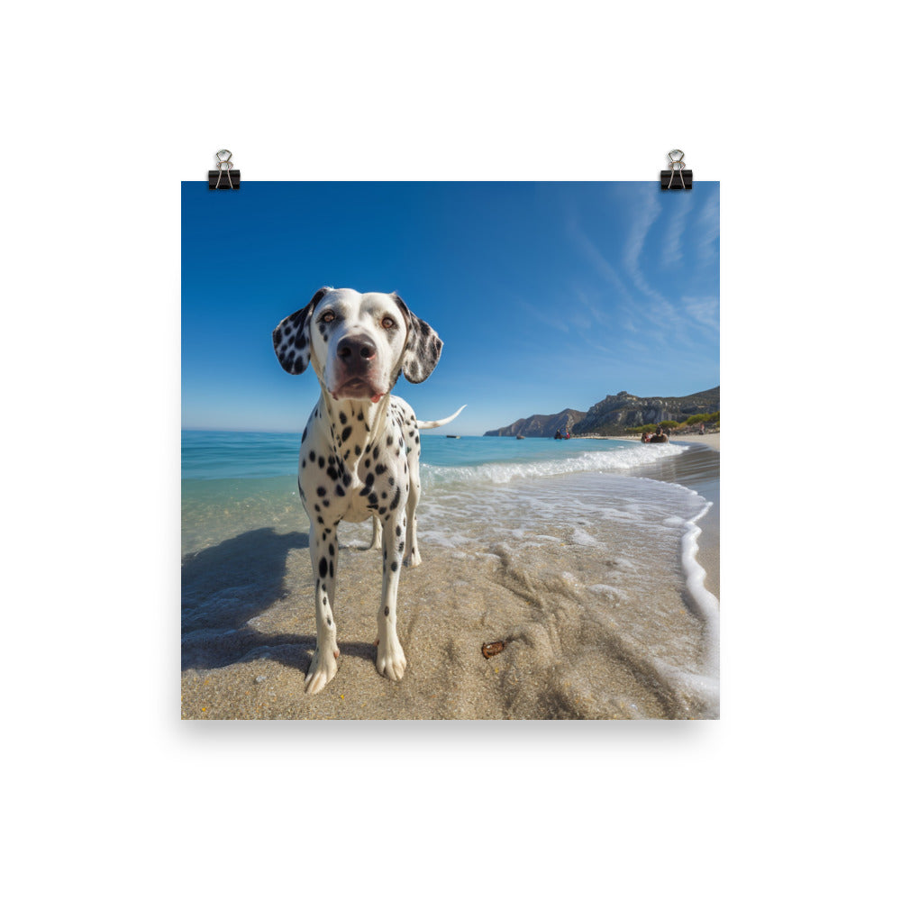 Dalmatian on the Beach Photo paper poster - PosterfyAI.com