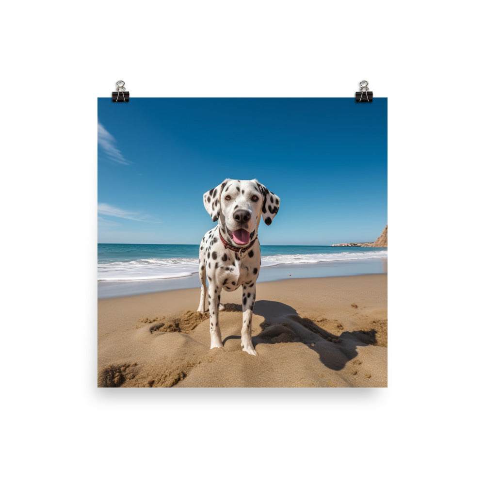 Dalmatian on the Beach Photo paper poster - PosterfyAI.com
