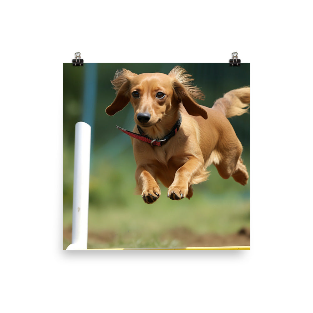 Dachshund Agility Training Photo paper poster - PosterfyAI.com