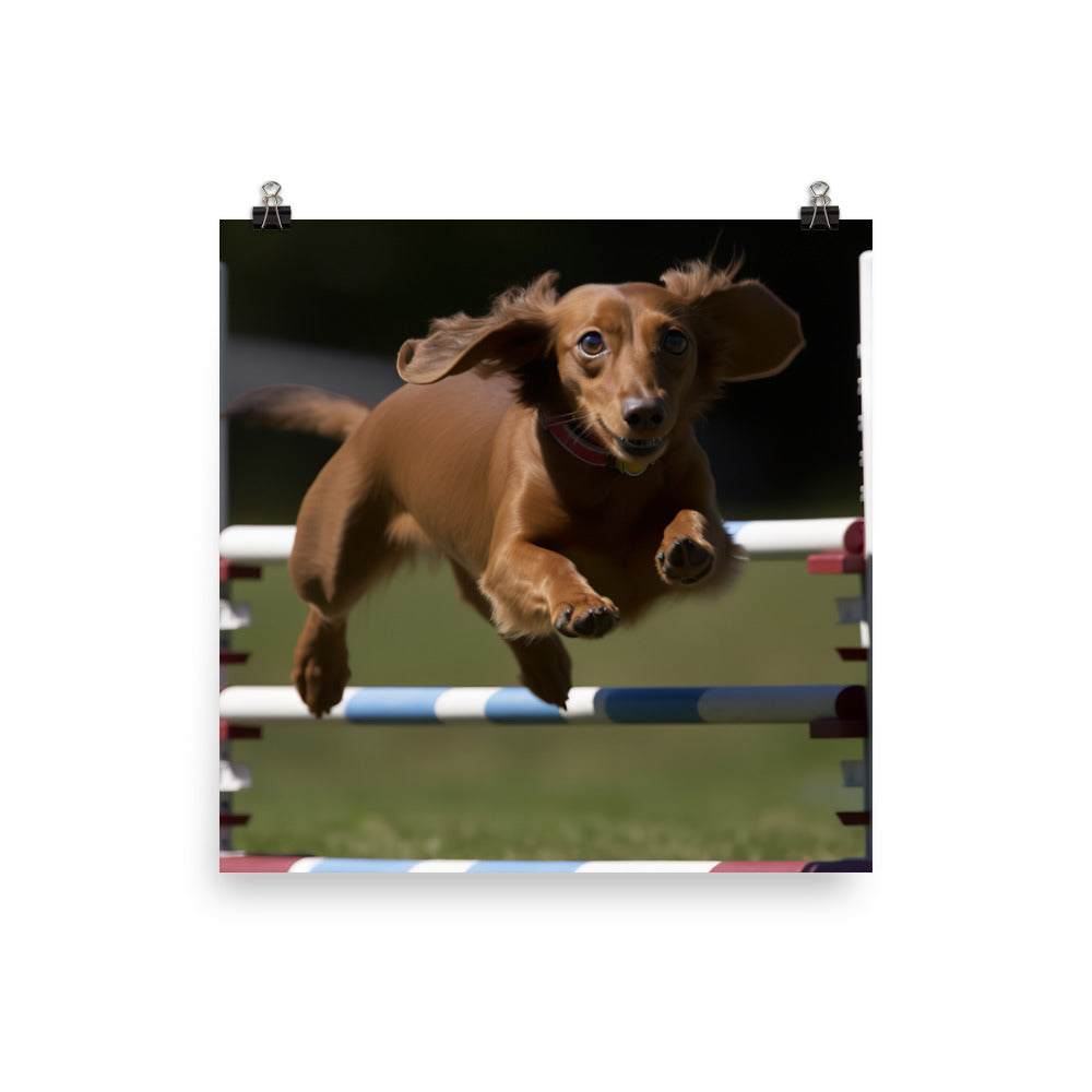 Dachshund Agility Training Photo paper poster - PosterfyAI.com