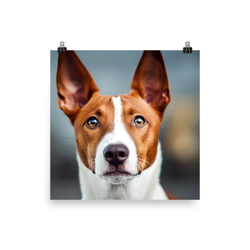 Curious Basenji Photo paper poster - PosterfyAI.com