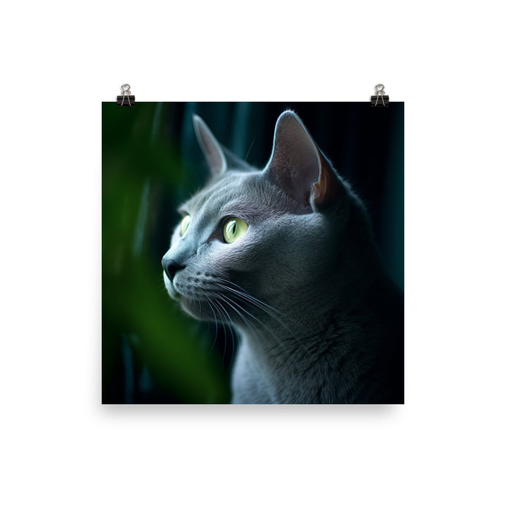 Russian Blue Cat Photo paper poster - PosterfyAI.com