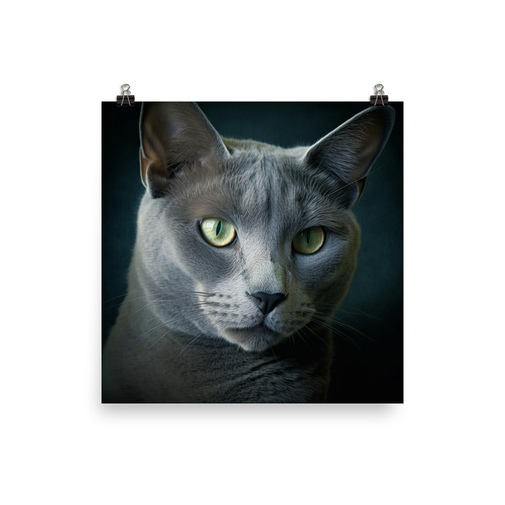 Russian Blue Cat Photo paper poster - PosterfyAI.com