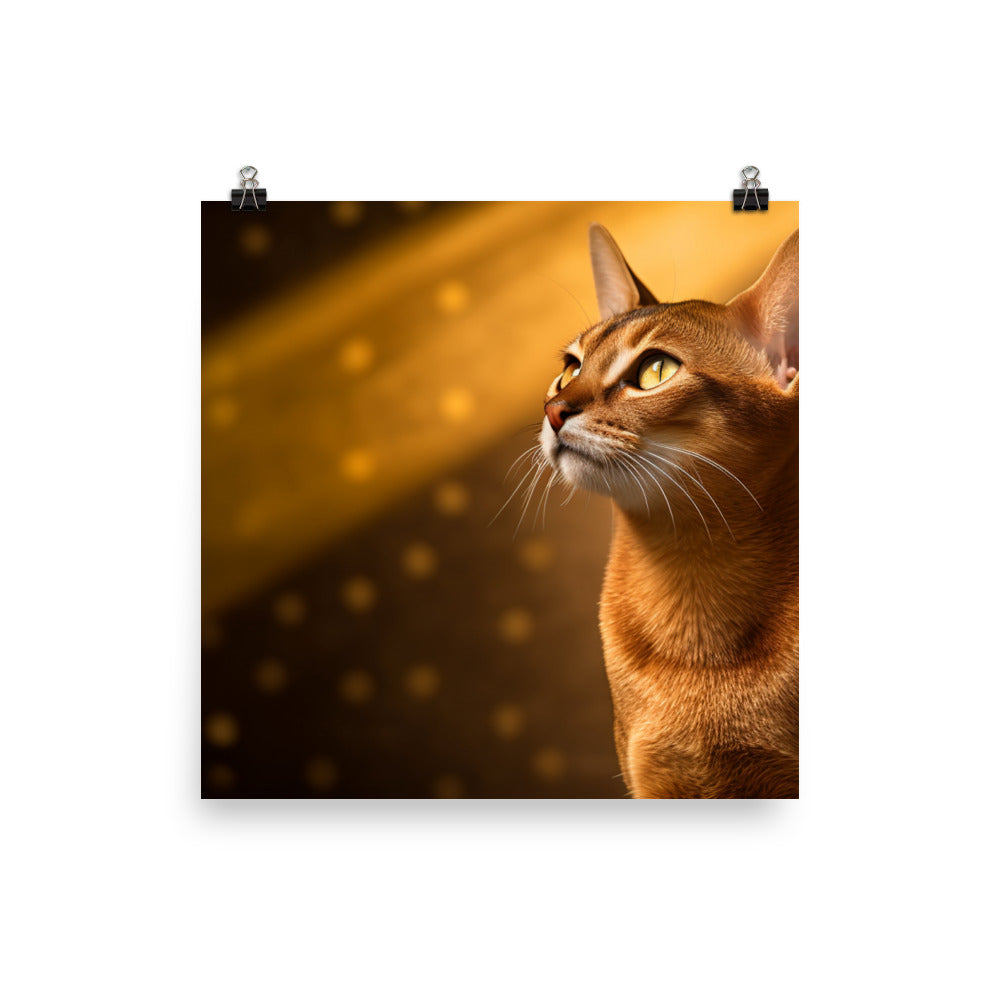 Playful Spirit of Abyssinian Cat Photo paper poster - PosterfyAI.com