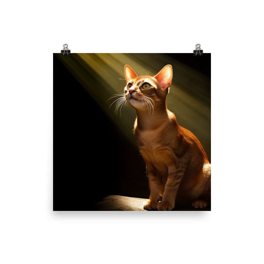 Playful Spirit of Abyssinian Cat Photo paper poster - PosterfyAI.com