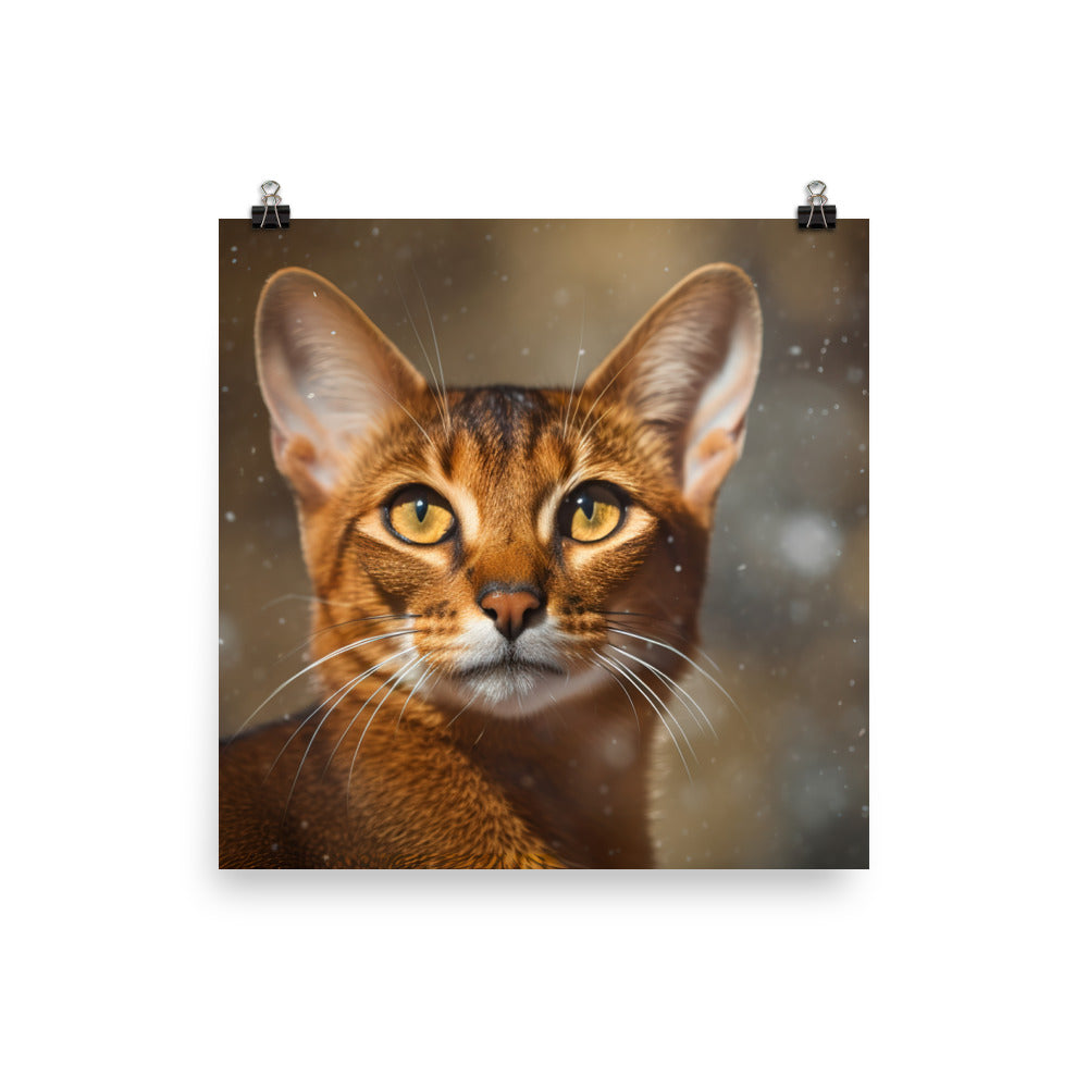 Exotic Beauty of Abyssinian Cat Photo paper poster - PosterfyAI.com