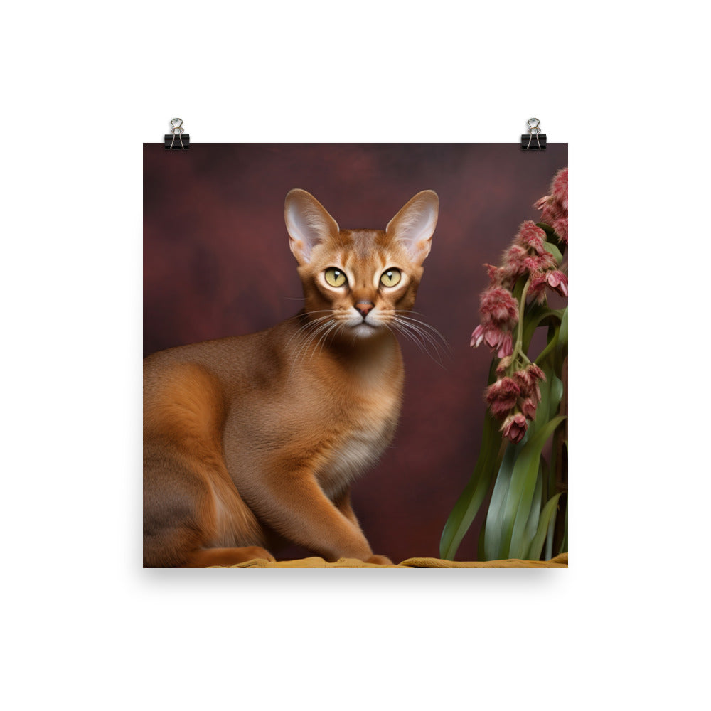 Enigmatic Aura of Abyssinian Cat Photo paper poster - PosterfyAI.com