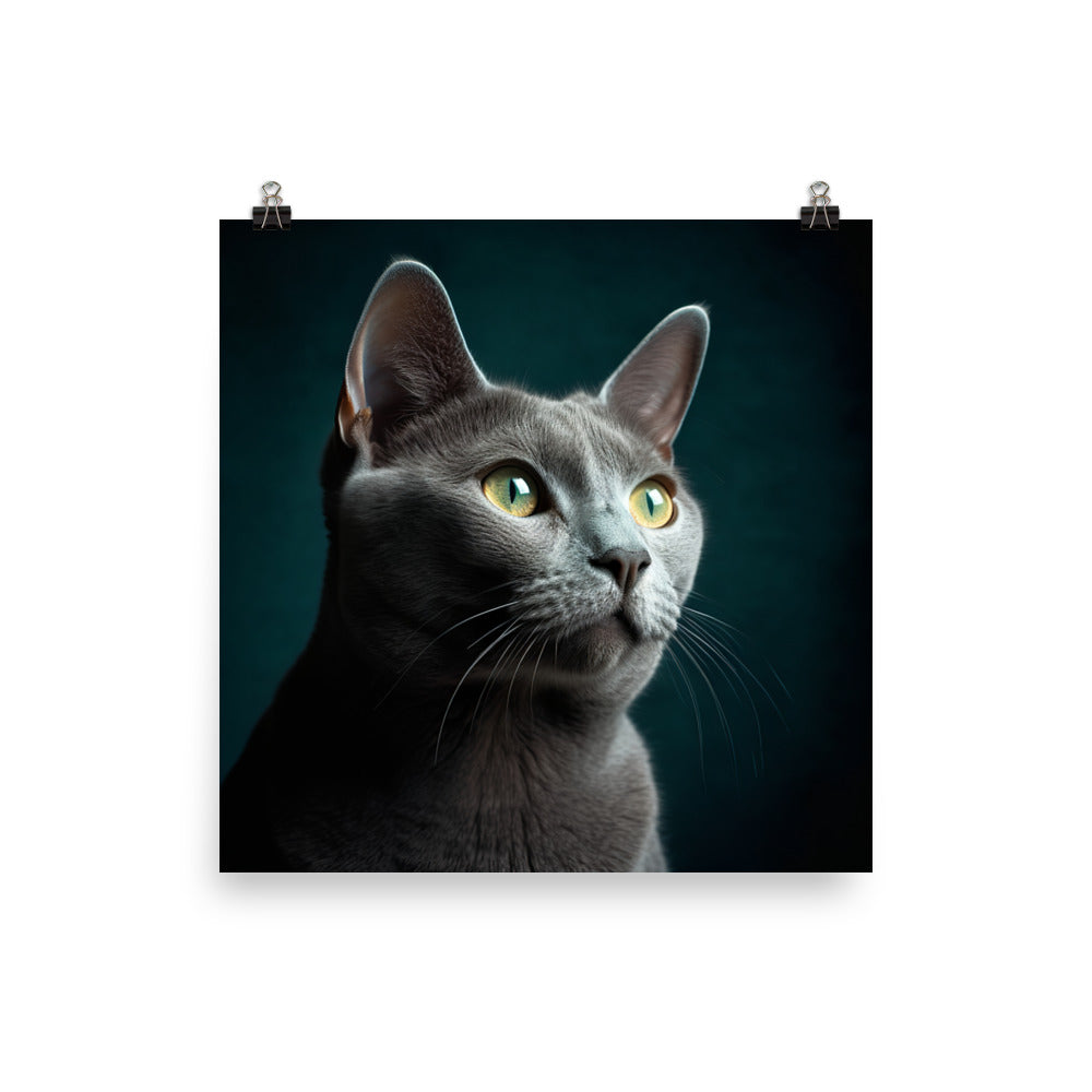 Gentle Nature of Russian Blue Cat Photo paper poster - PosterfyAI.com