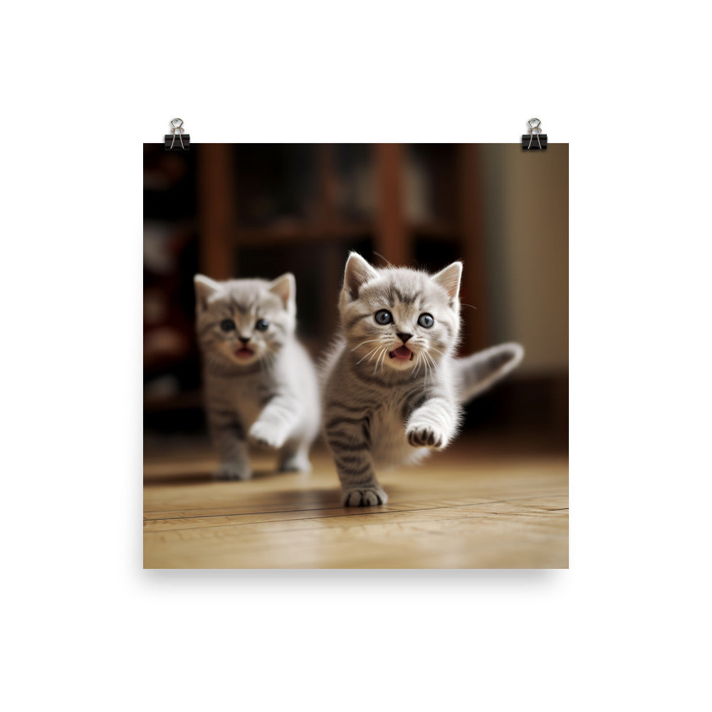 British Shorthair Kittens Photo paper poster - PosterfyAI.com