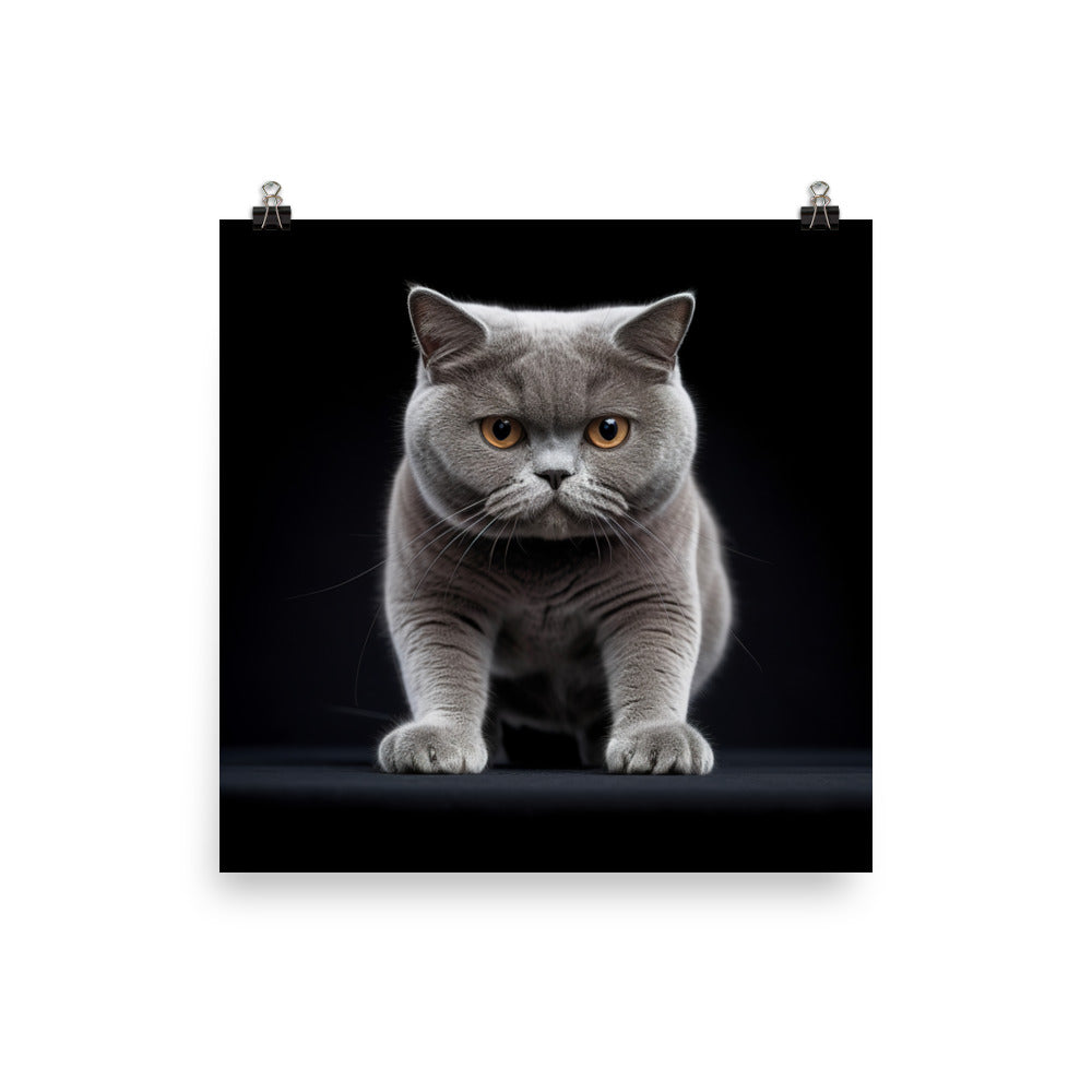 British Shorthair Cat Photo paper poster - PosterfyAI.com