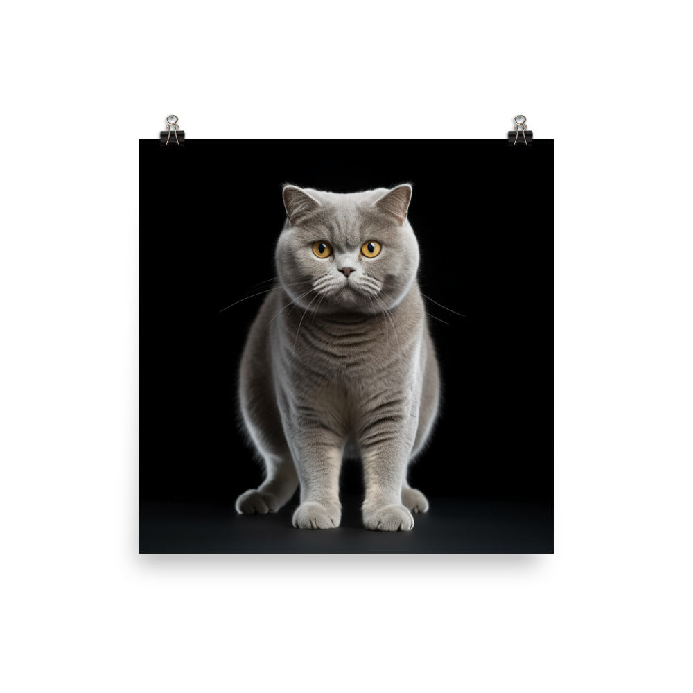 British Shorthair Cat Photo paper poster - PosterfyAI.com