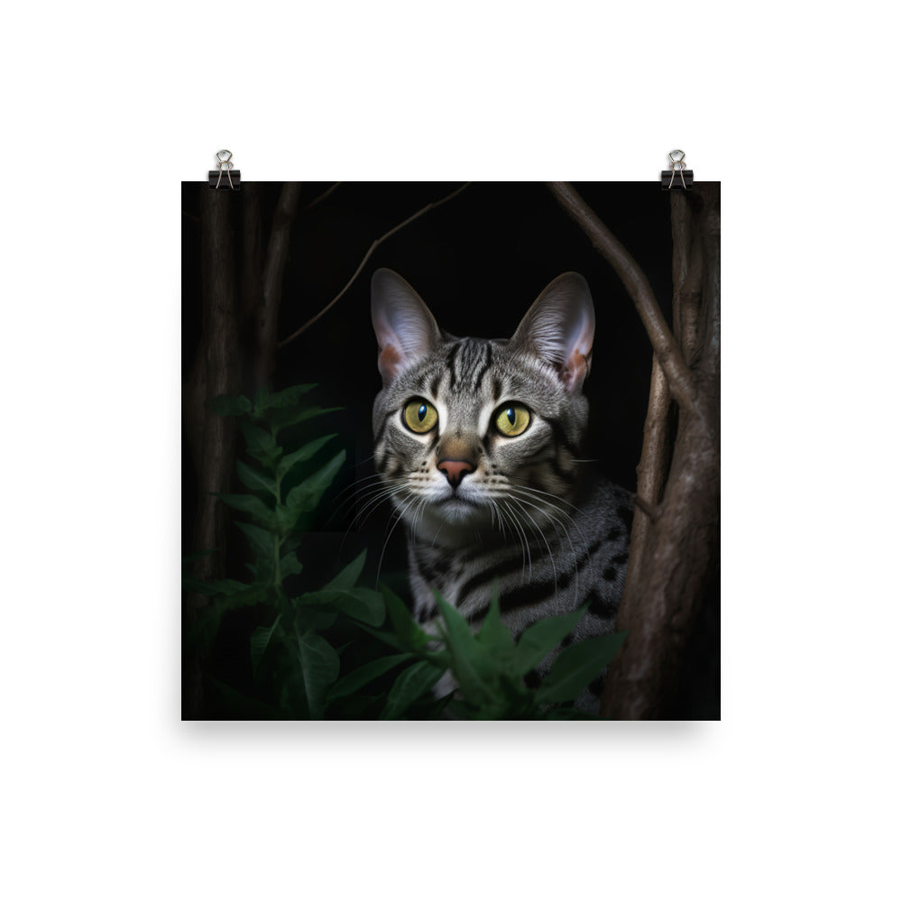 Egyptian Mau Cat Photo paper poster - PosterfyAI.com