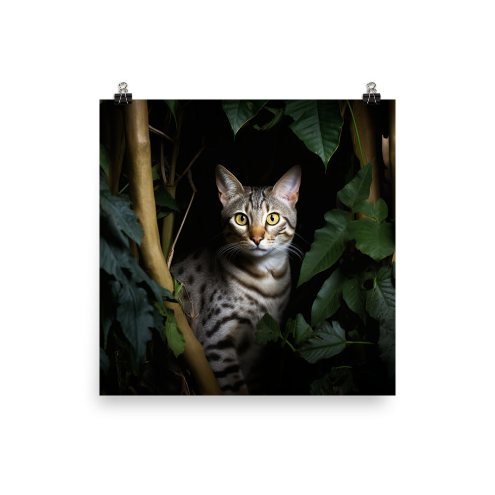 Egyptian Mau Cat Photo paper poster - PosterfyAI.com