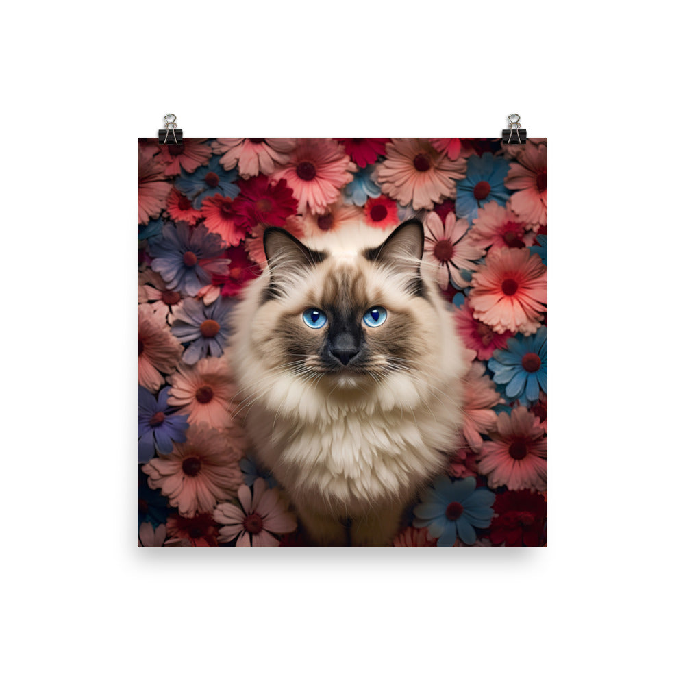 Ragdoll in Wonderland Photo paper poster - PosterfyAI.com