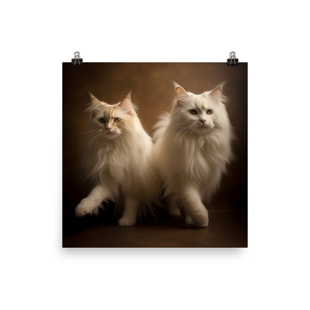Ragdoll Cat in Motion Photo paper poster - PosterfyAI.com