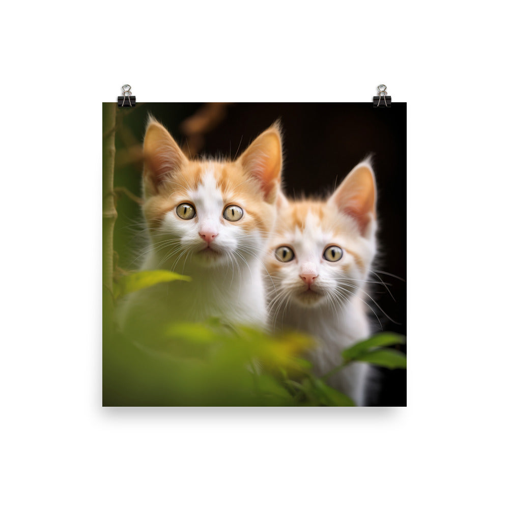 Japanese Bobtail Kitten Photo paper poster - PosterfyAI.com