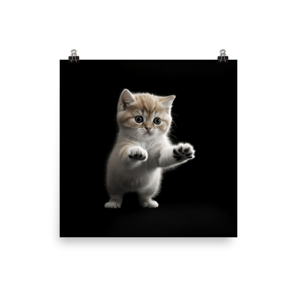 Exotic Shorthair Kitten Photo paper poster - PosterfyAI.com