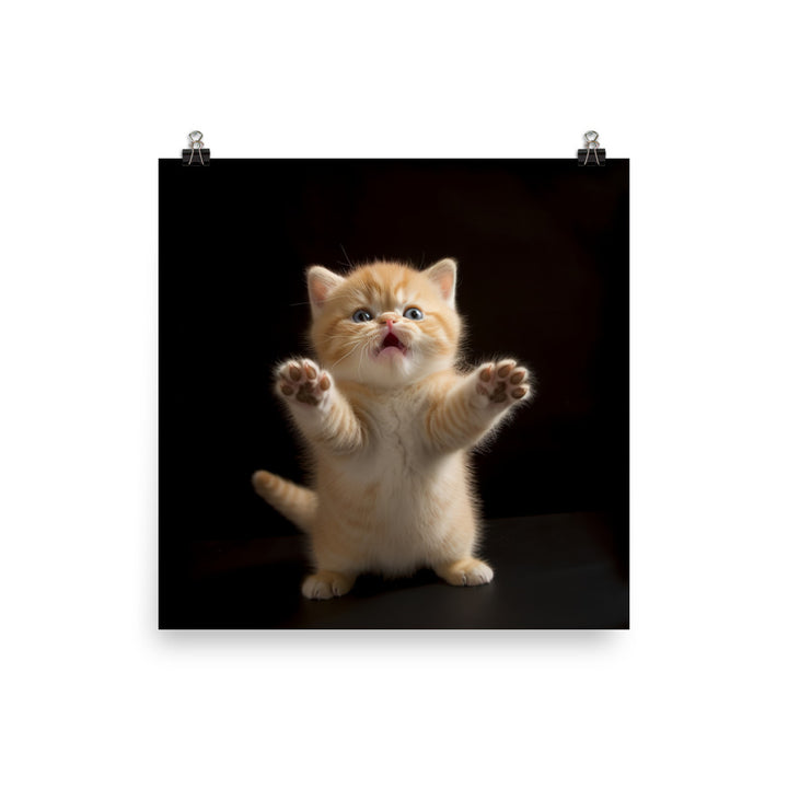 Exotic Shorthair Kitten Photo paper poster - PosterfyAI.com