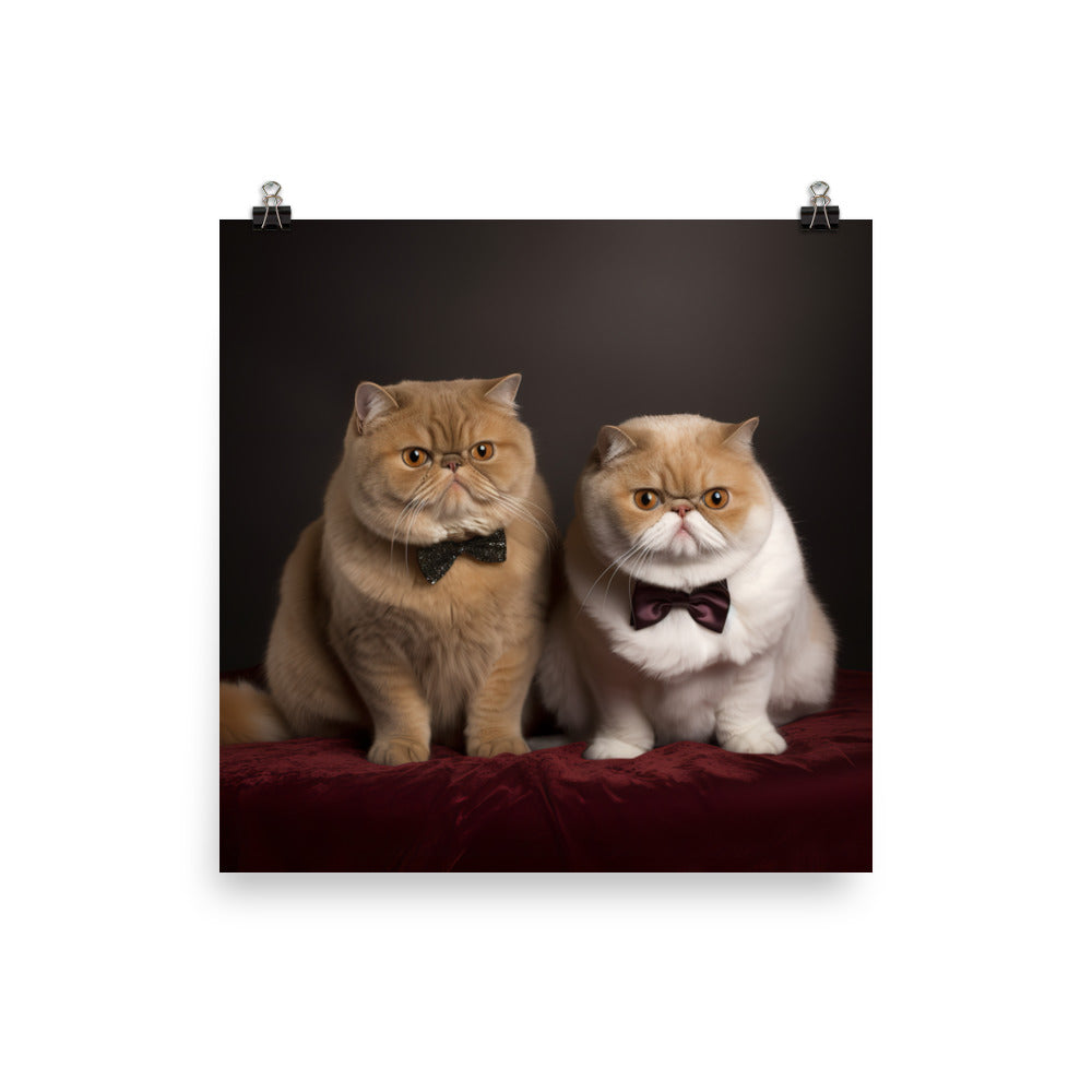Exotic Shorthair Cat Photo paper poster - PosterfyAI.com
