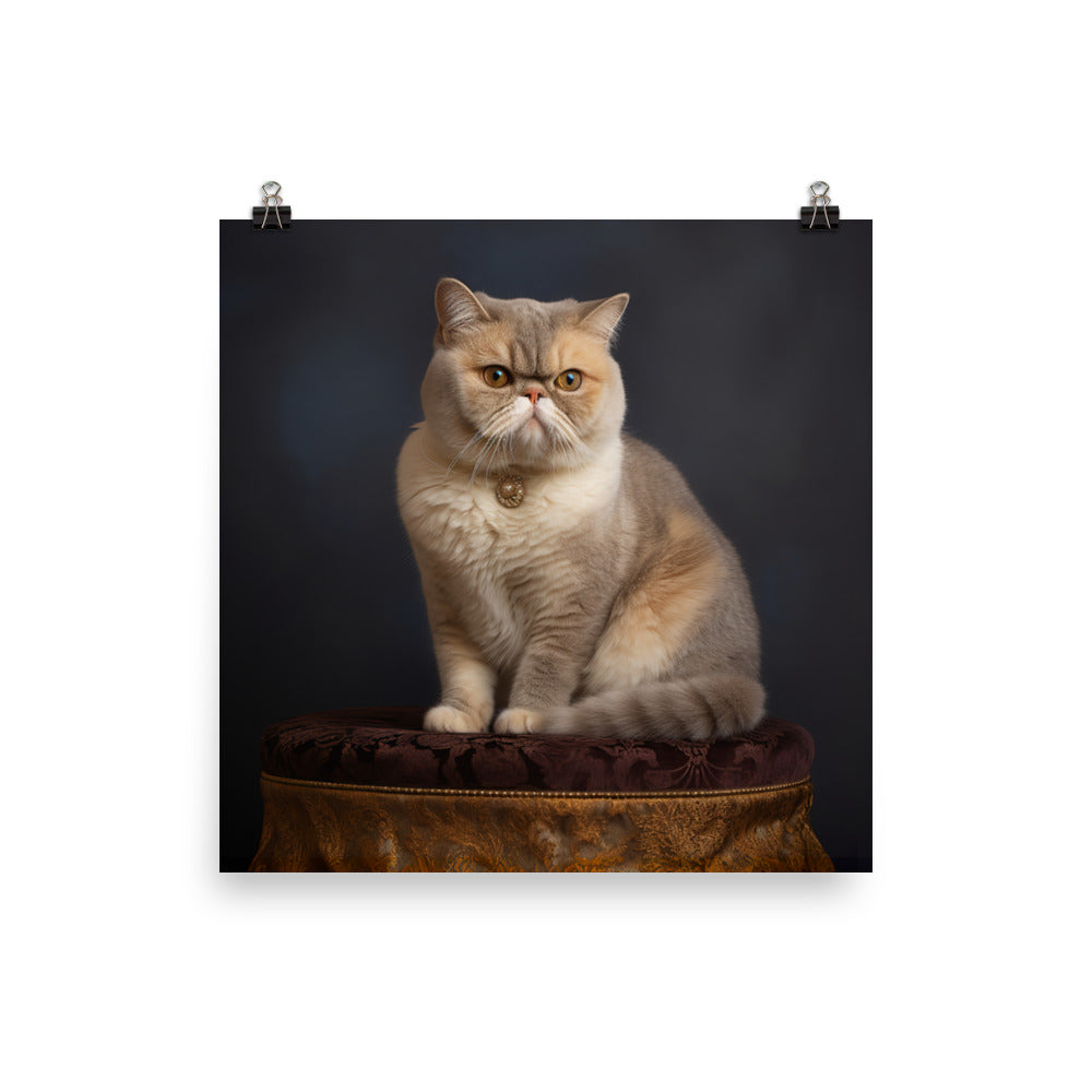 Elegance of Exotic Shorthair Adults Photo paper poster - PosterfyAI.com